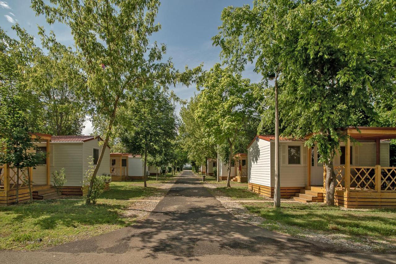 Hungarospa Thermal Camping Mobilhaz Хайдусобосло Экстерьер фото